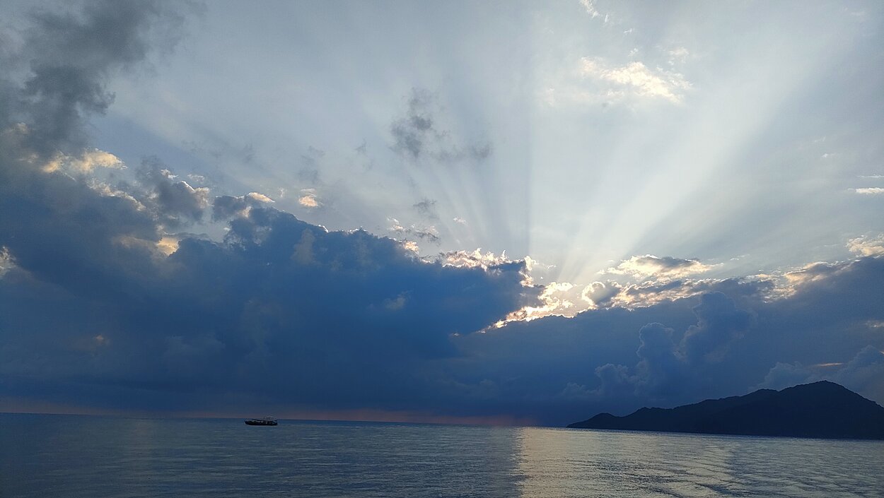 タオ島ダイビング