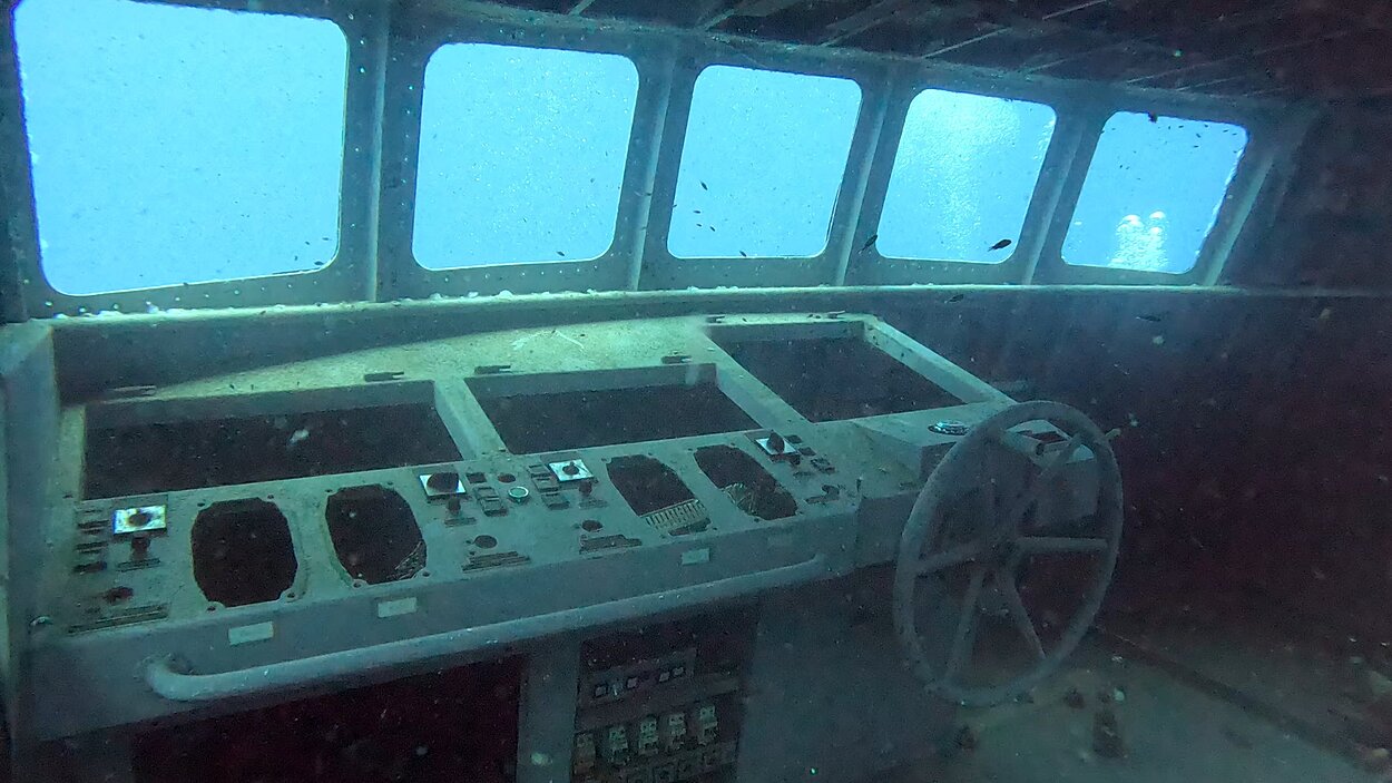 タオ島ダイビング