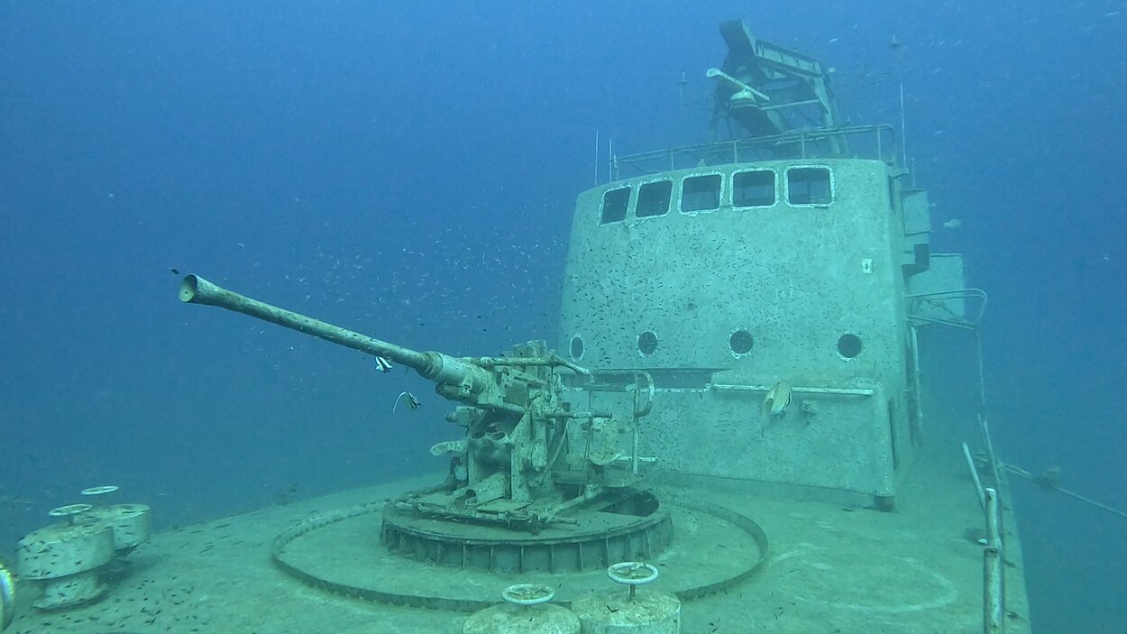 タオ島ダイビング