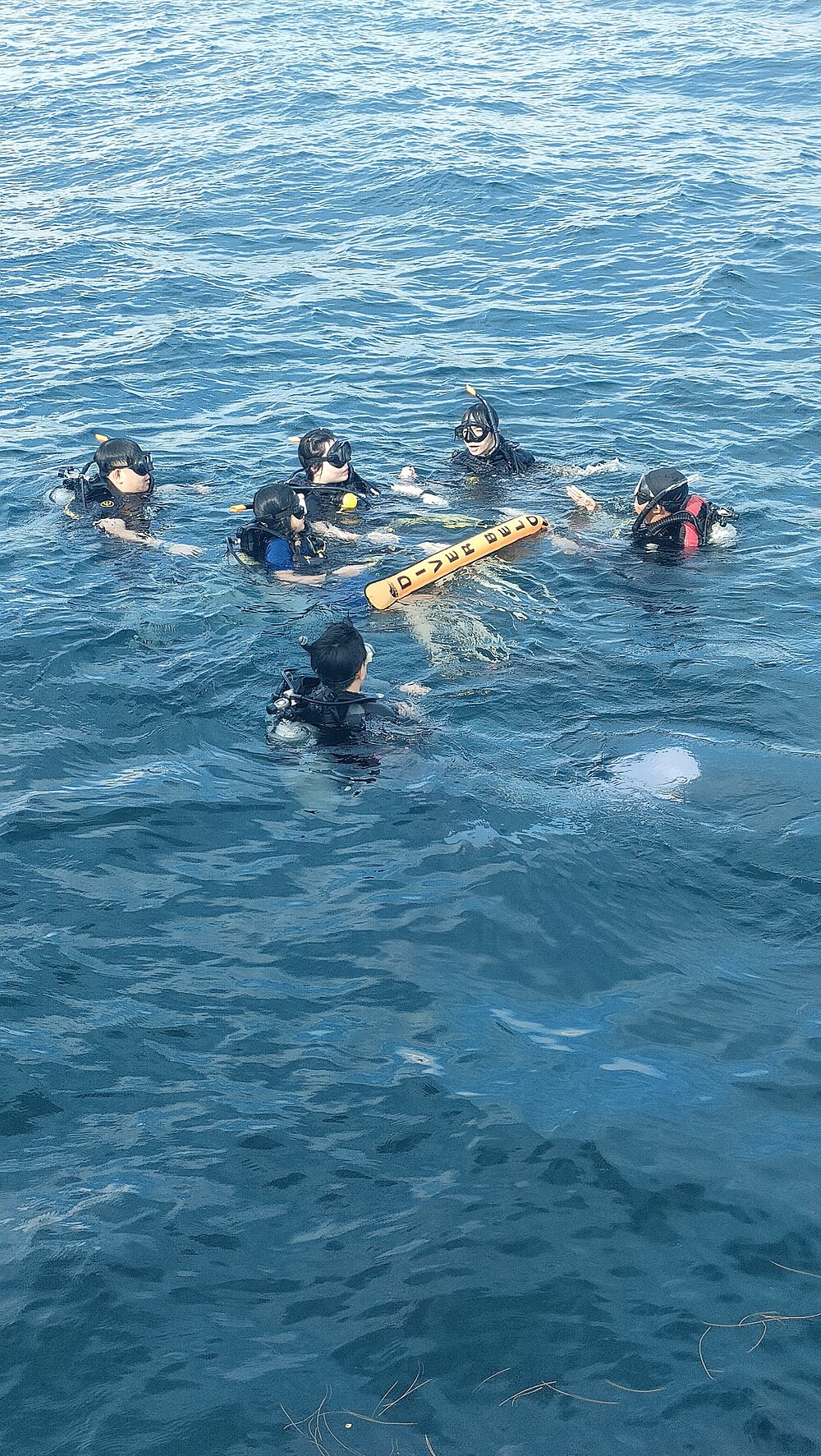 タオ島ダイビング ダイブマスター