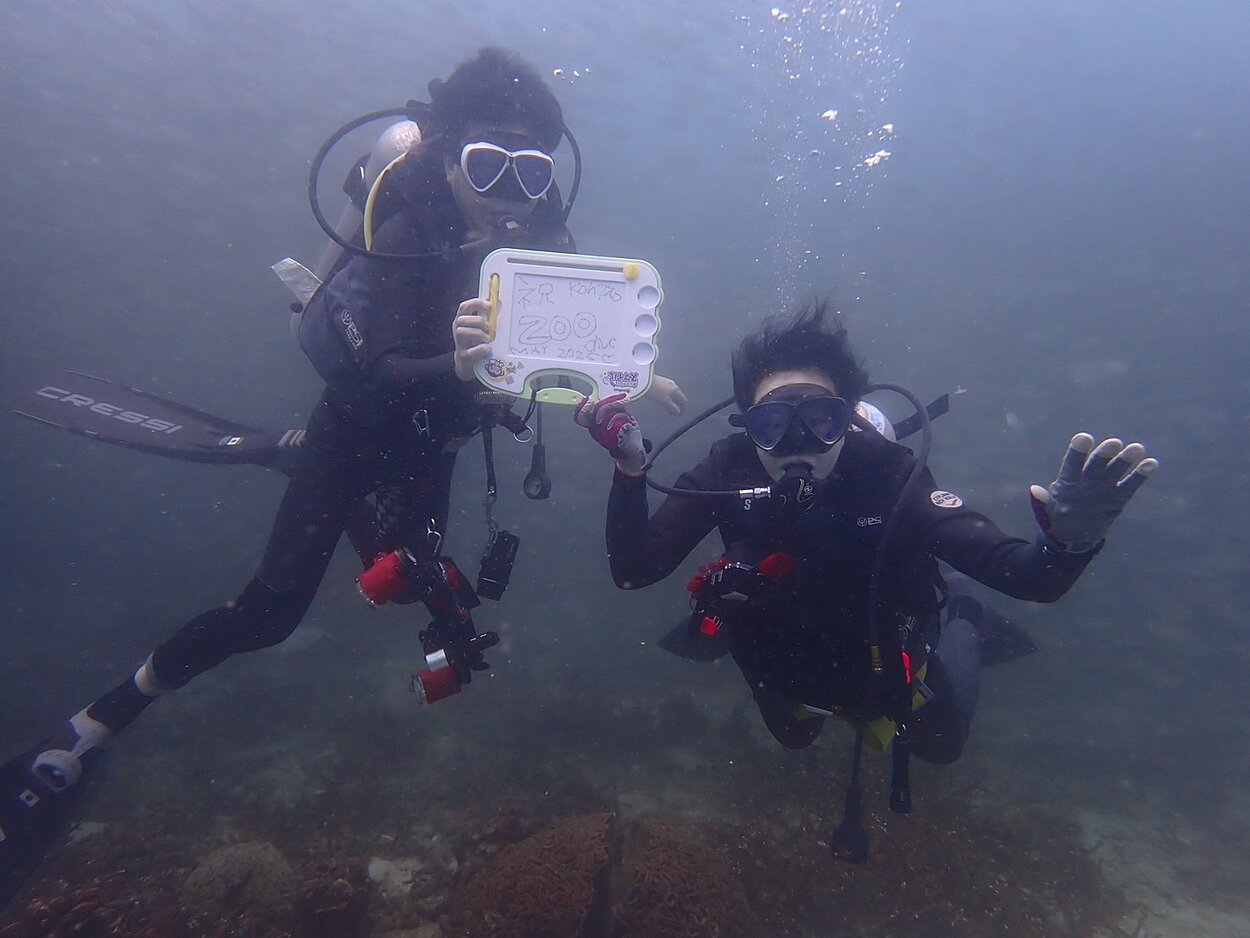記念ダイブ　タオ島