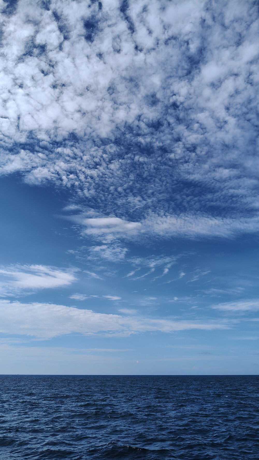 タオ島天気