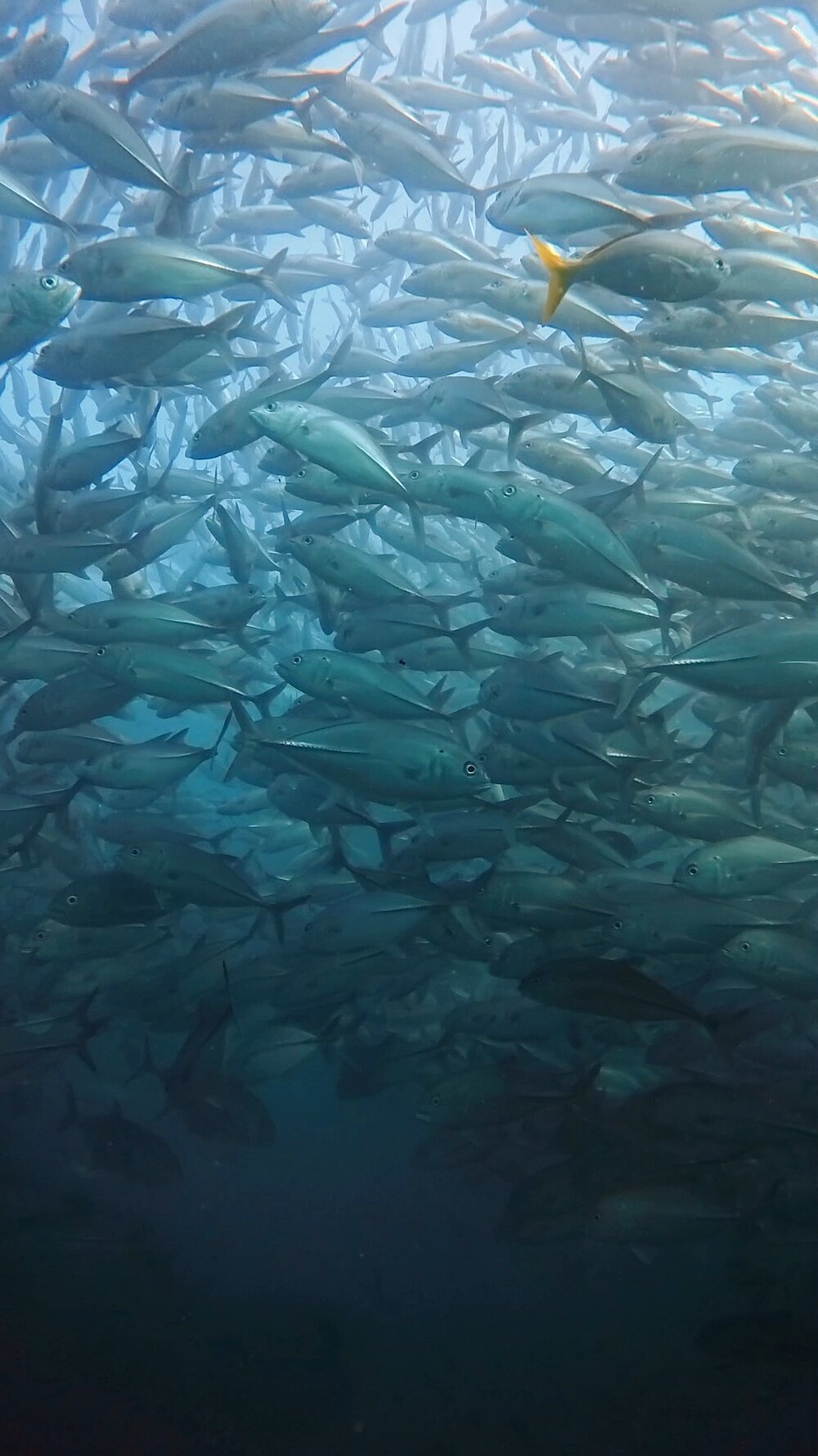 タオ島 セイルロック