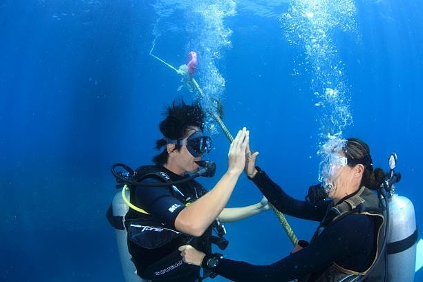 タオ島、スクーバリビュー(リフレッシュ)コース