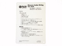 ⑦体験ダイビングキューカード