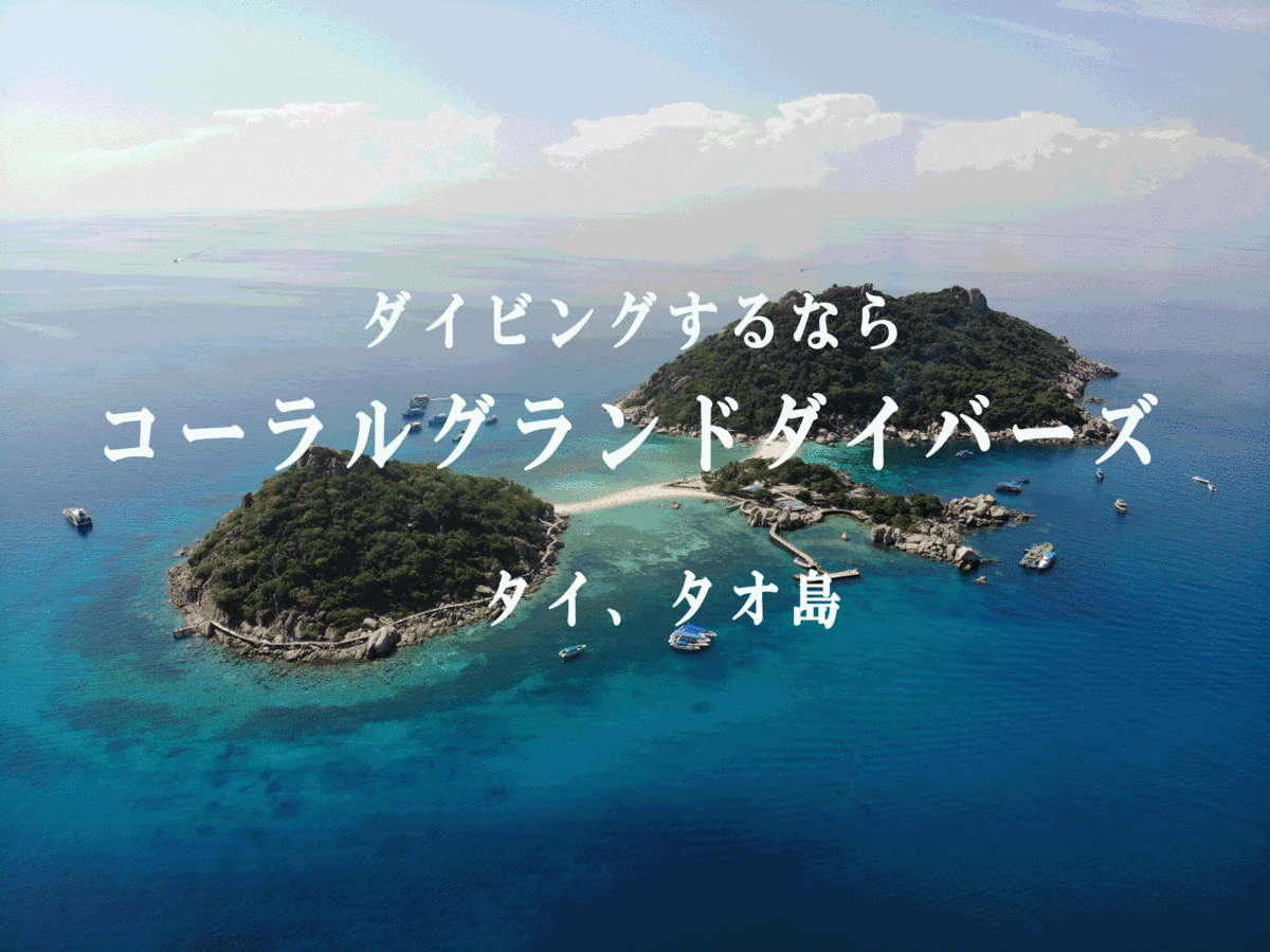 ジンベエザメ画像 撮影byタオ島コーラルグランドダイバーズ